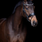 Snaffle Excellence - UNIQ Bridles