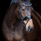 Excellence snaffle - UNIQ Bridles