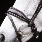 Excellence brown - UNIQ Bridles