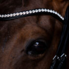 Crystal - UNIQ Bridles